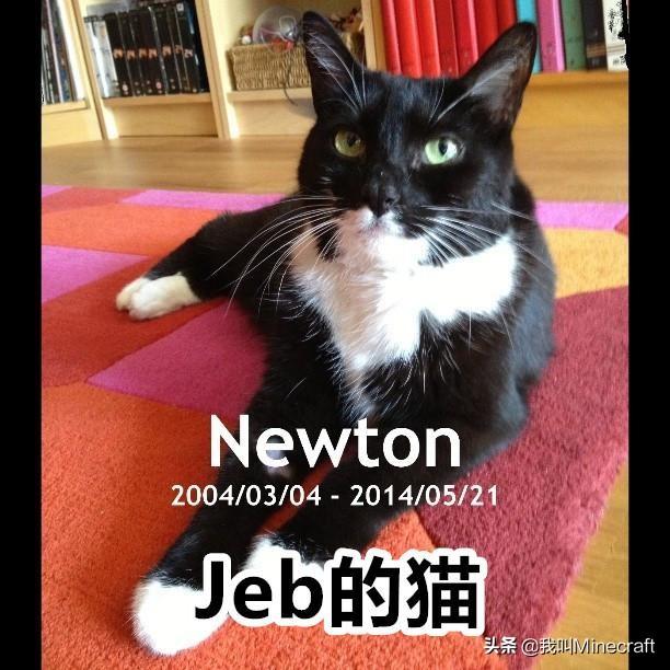 我的世界豹猫怎么驯服，我的世界里怎么驯服豹猫（关于猫的10个“冷”知识）