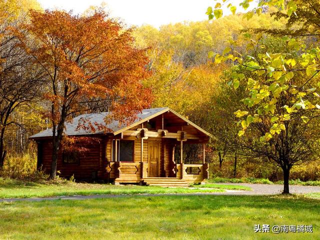 单位换算表大全，公顷亩平方米的转换公式（我国占地面积最大的“双一流”建设重点高校）