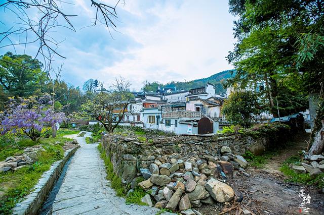 安徽塔川在哪个城市，安徽塔川是哪个县的（来踏青的游客数量让人意外）