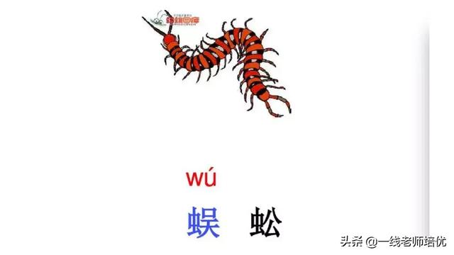 音序是什么?音节又是什么，音序是什么（小学汉语拼音——整体认读音节）