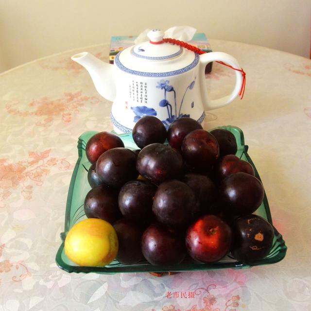 灰子是什么水果，灰子是什么动物（上好的李子卖五角钱一斤）