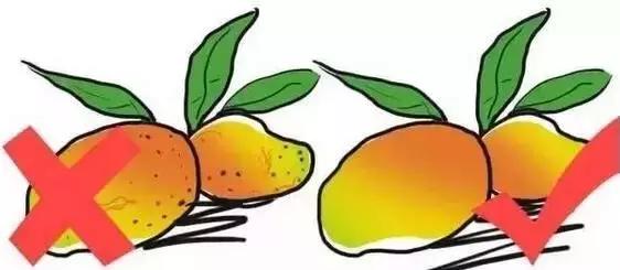 橘子是寒性水果吗，桔子是热性还是凉性（超全水果手册）