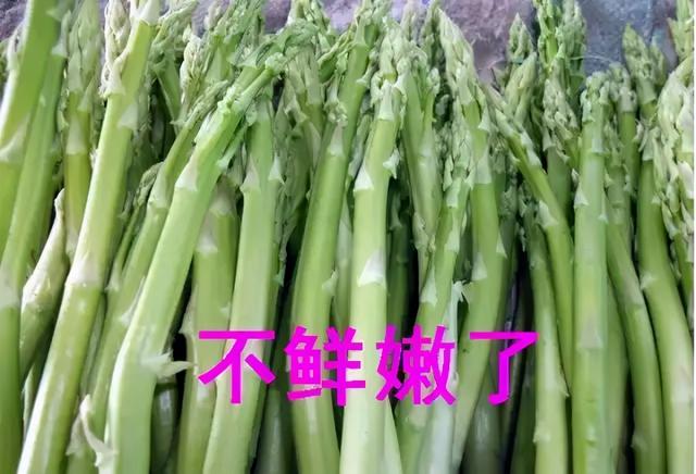 芦笋需要去皮吗，芦笋是否需要去皮（才发现很多人没吃过芦笋）