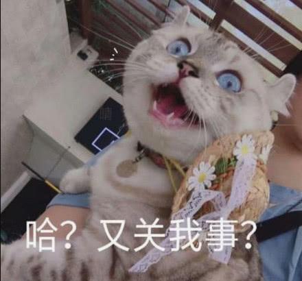 整人的聊天套路，整人的聊天套路图（愚人节“整蛊”损友的套路）