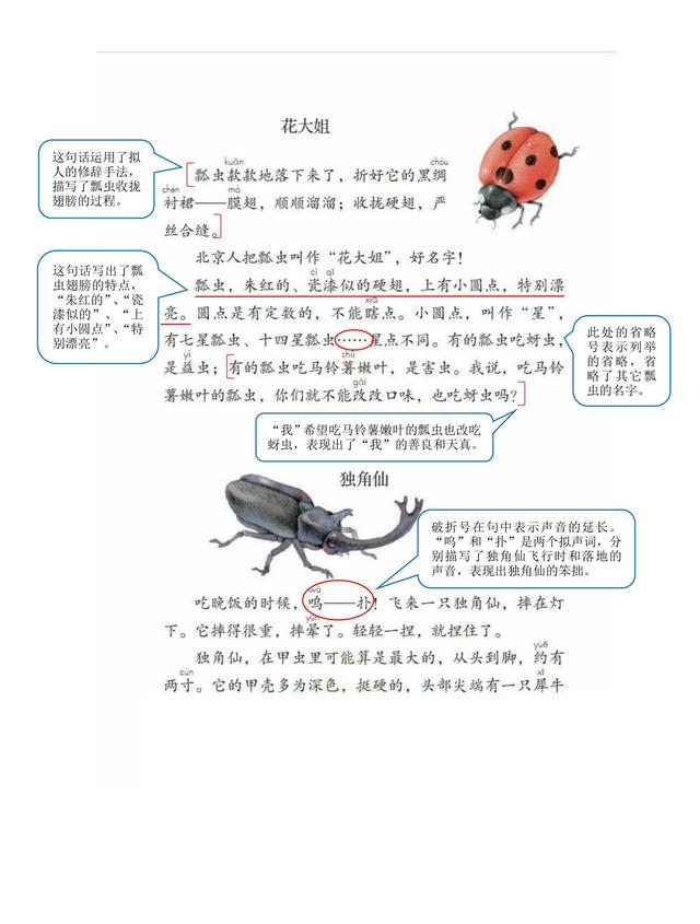 独角仙的特点是什么，独角仙的特点是什么什么,分别用了什么什么什么的方法（三年级语文下《第一单元课堂笔记》三个版本）