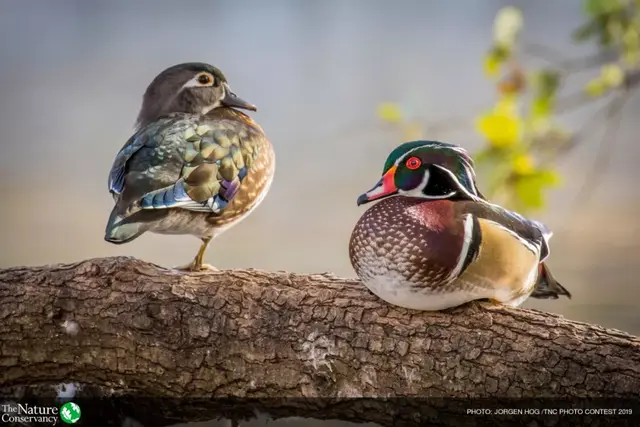 怦然心动美图，怦然心动最新图片（美图 ， 这一瞬间的怦然心动）