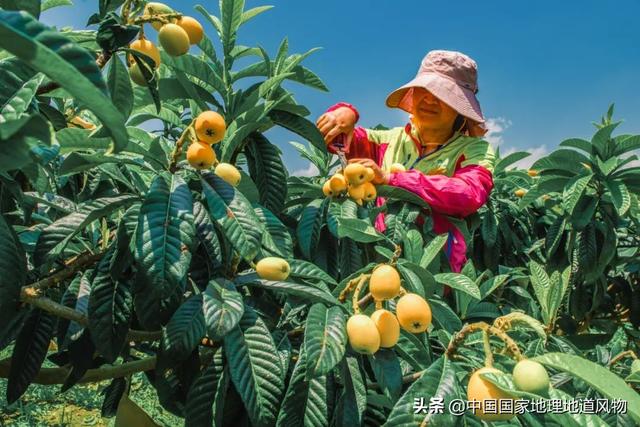 攀枝花是哪个省的城市，西部区（“四川特区”攀枝花）