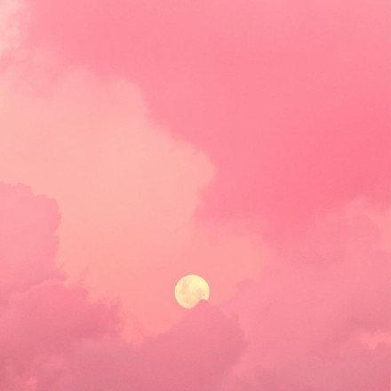 粉色头像微信，粉色头像（粉色朦胧少女心的好看头像）