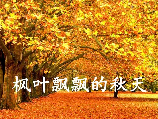 四季有什么特点，北方的四季有什么特点（部编版一年级上册第4课《四季》图文讲解）