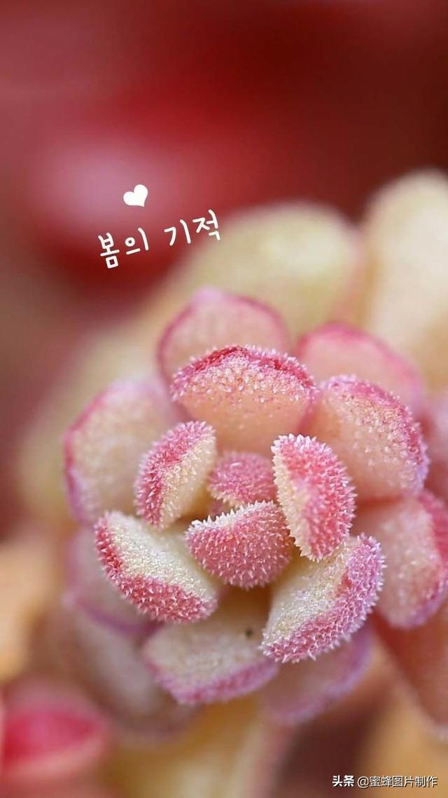 电脑桌面护眼壁纸，电脑桌面图片唯美（缓解眼疲劳，护眼的壁纸美图）