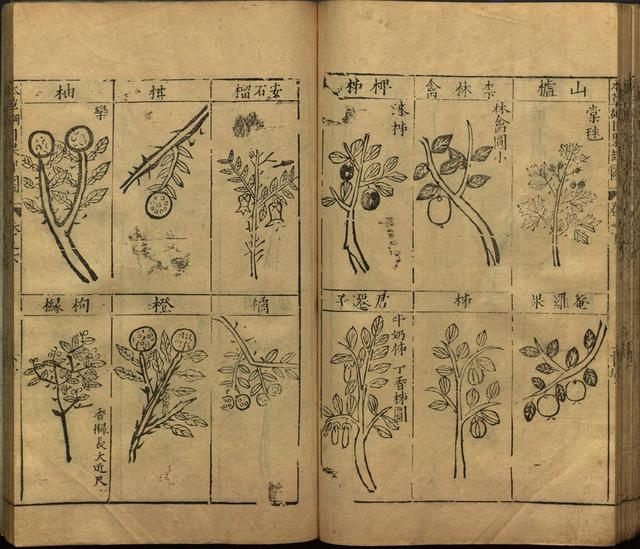 本草纲目全书带图，李时珍本草纲目全书（李时珍著《本草纲目》附图卷）
