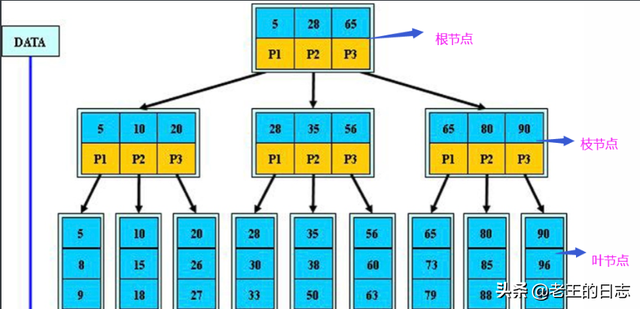 模特的模组词，模特的模组什么词（MySQL06--）