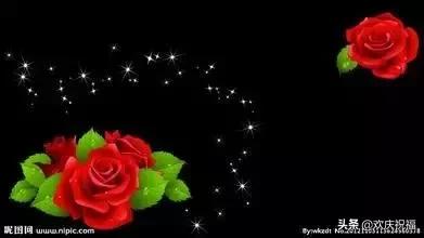 七月七日是情人节吗,每个月十四号都是什么情人节(今天是7月7日情人节) 七月七日是情人节吗,每个月十四号都是什么情人节(今天是7月7日情人节)