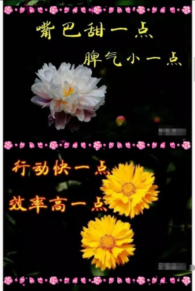 干净 温柔 温暖的配图 沈鹤书.“一年又一年，匆匆又夏天”，匆匆又夏天歌词（一年又一年……祝福送给一直陪着我的朋友们）