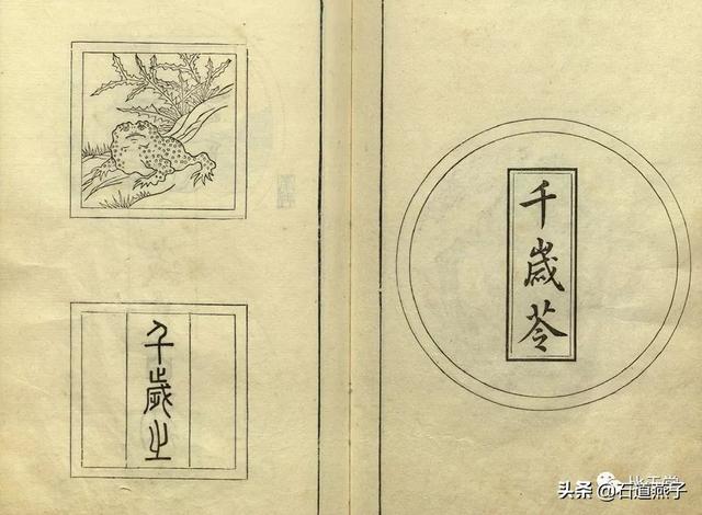 科头跣足是什么动物，科头跣足指什么动物（浅谈“刘海”与“金蟾”）