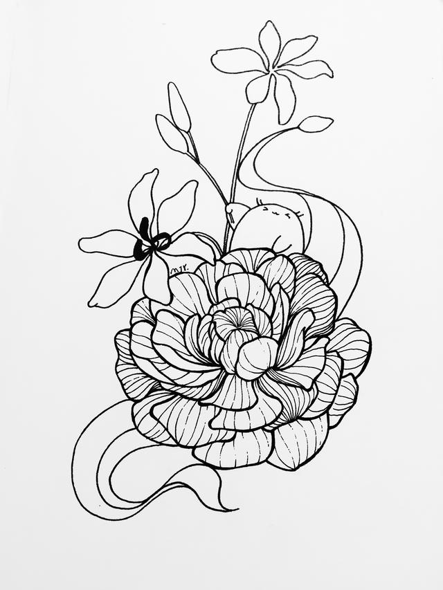 初学画画如何入门，画画入门初学技巧（好看的入门简笔画）