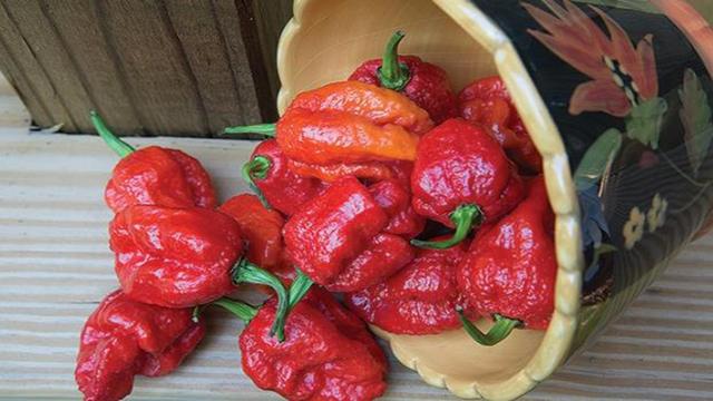中医提醒9类人千万别吃辣会要命，世界辣度排名前三的辣椒