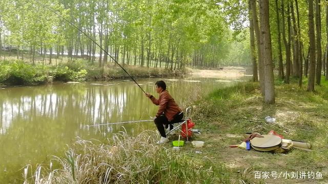 初学鱼竿怎么选择，新手钓鱼选鱼竿千万别盲目