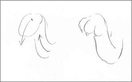 椭圆的画法，木工椭圆最精确的画法（合理快速的画一幅画）