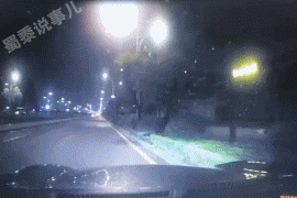 开黄车什么意思，我要开黄车是什么意思（动图警示，飞车为何会上树）