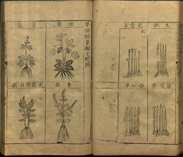 本草纲目全书带图，李时珍本草纲目全书（李时珍著《本草纲目》附图卷）