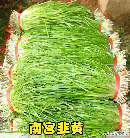 什么是卷心莴苣，卷心莴苣图片（古代邢台人最爱吃的几种蔬菜）