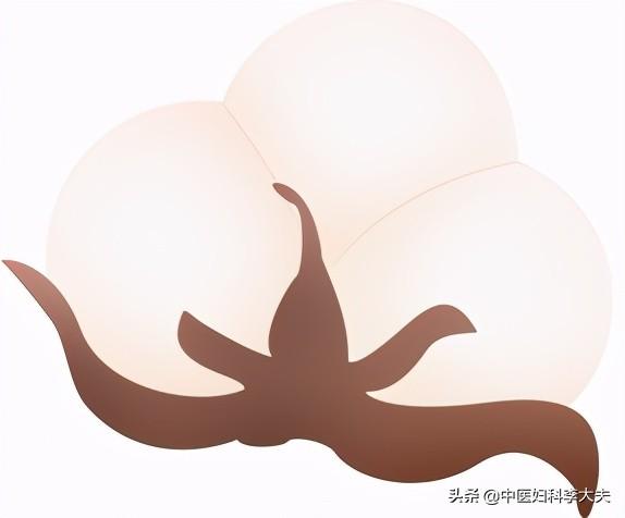 木棉花的副作用，木棉花泡水喝有副作用吗（棉花：我还是中药，能治病）