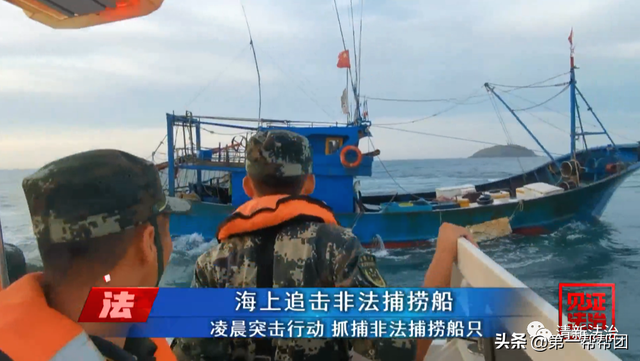 鲎是保护动物吗，鲎是保护动物吗为啥（休渔期非法捕捞国家保护动物中华鲎）