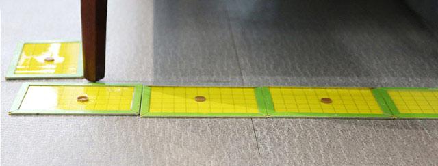 什么东西能溶解老鼠胶，老鼠胶如何快速去除（灭老鼠及粘鼠板正确操作方法）