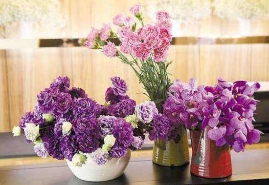 康乃馨怎么养，康乃馨怎么养开花（康乃馨的养殖方法和注意事项）