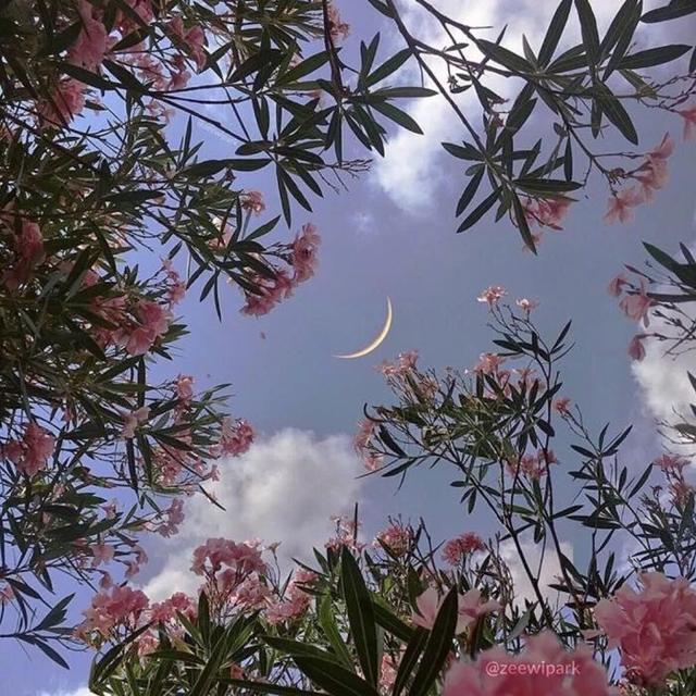 关于星星月亮的背景图，关于星星月亮的背景图片（帮你关掉月亮——唯美浪漫月亮主题背景图句子集分享）