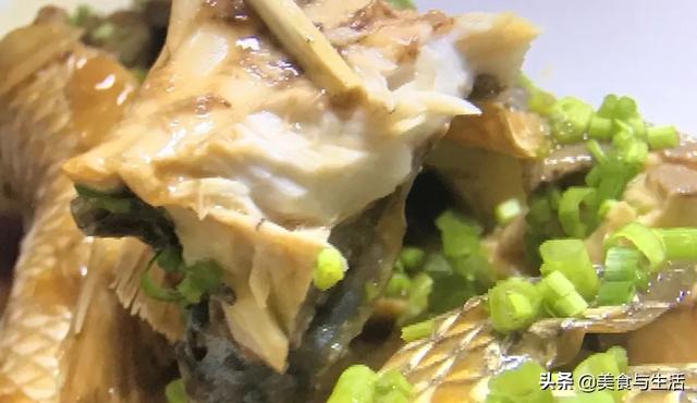 梭鱼是海鱼还是淡水鱼，就吃家常烧开凌梭鱼
