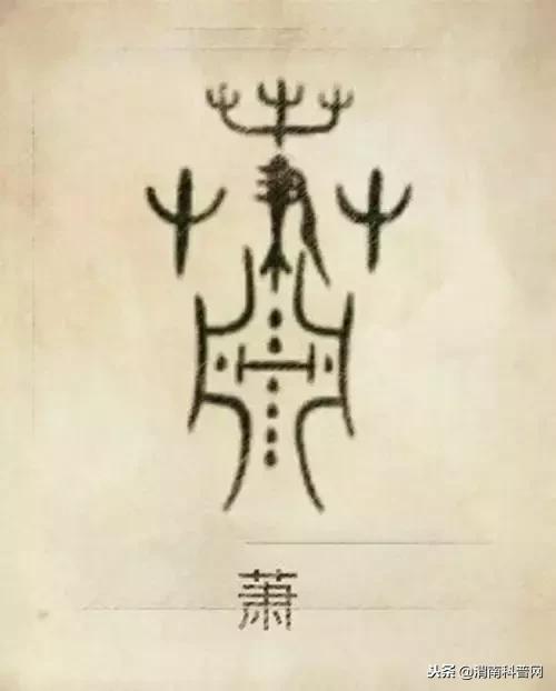 一个草字头一个吕，草字头加吕什么字（中国100大姓氏起源、图腾）