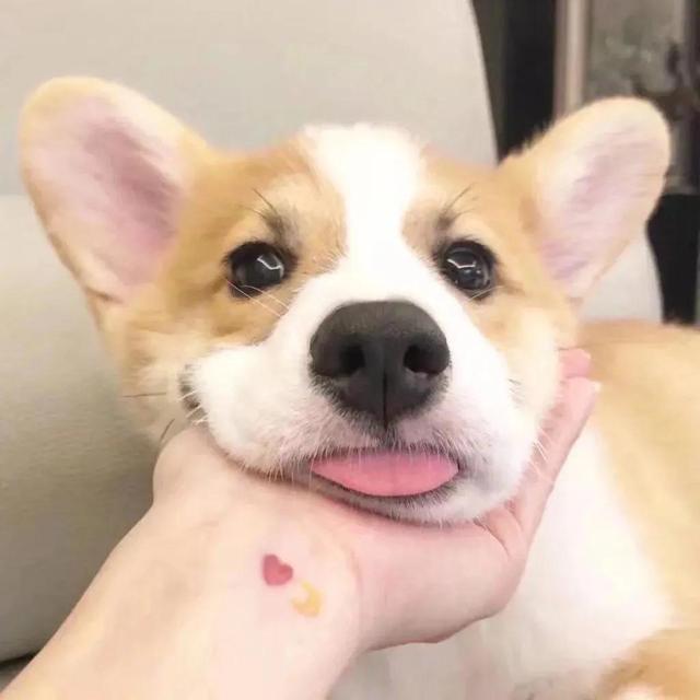 高清男头/情头，微信头像，高清男头/情头（一字一句皆是良人）