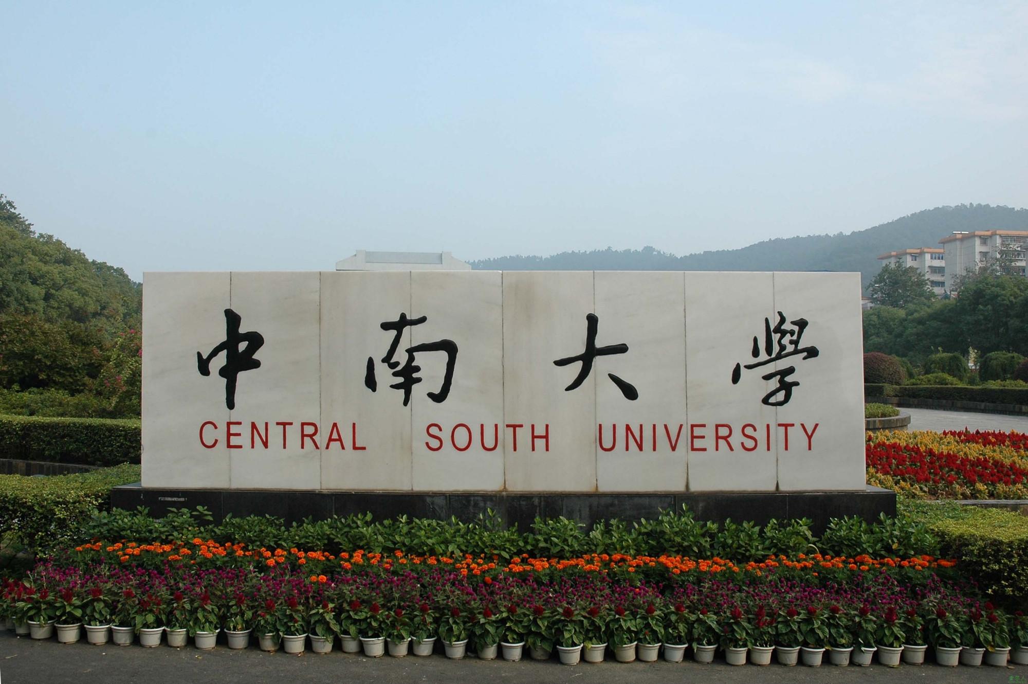 中南大学 杨雨（她是中南大学最美教授）