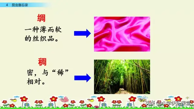 什么的硬翅，什么的硬翅？填四个字。（小学部编三年级语文下第4课《昆虫备忘录》图文+知识点+同步练习）