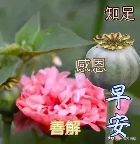 时光流逝的句子，一年时光流逝的句子（真情依在；百里之隔）