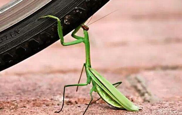 害太岁是什么意思，害太岁是什么意思2023年生肖（这得先从什么是太岁说起……）