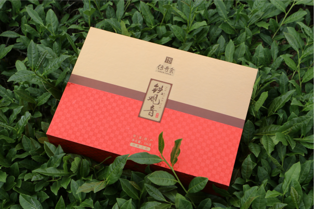 铁观音是红茶还是绿茶，到底铁观音是红茶还是绿茶呢（铁观音属于什么茶）