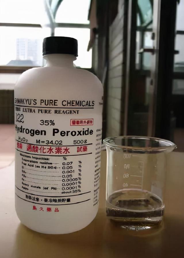 金丝柳，“金珊瑚”和“金丝柳”的替代品（金丝柳图片）