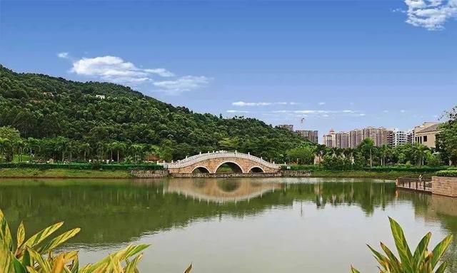 亚公顶森林公园,惠阳旅游景点大全(最新详情)