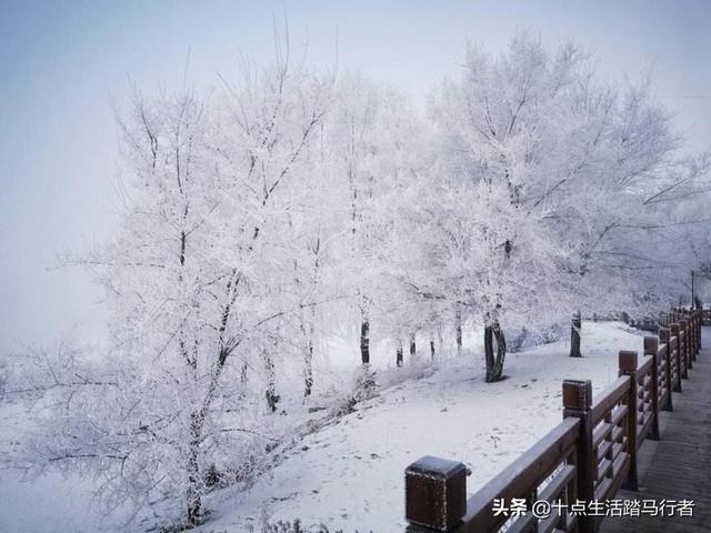 吉林雾凇景色奇特三九严寒，冰天雪地中的美景——吉林雾凇