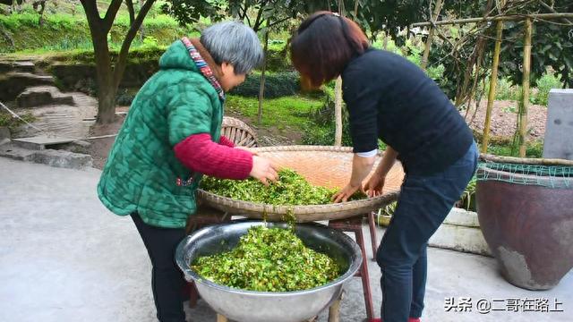 盐菜的做法介绍，盐菜的做法（涪陵榨菜之乡的传统做法）