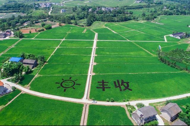 岳池县景点，岳池周边景点（鱼米之乡：四川省岳池县）