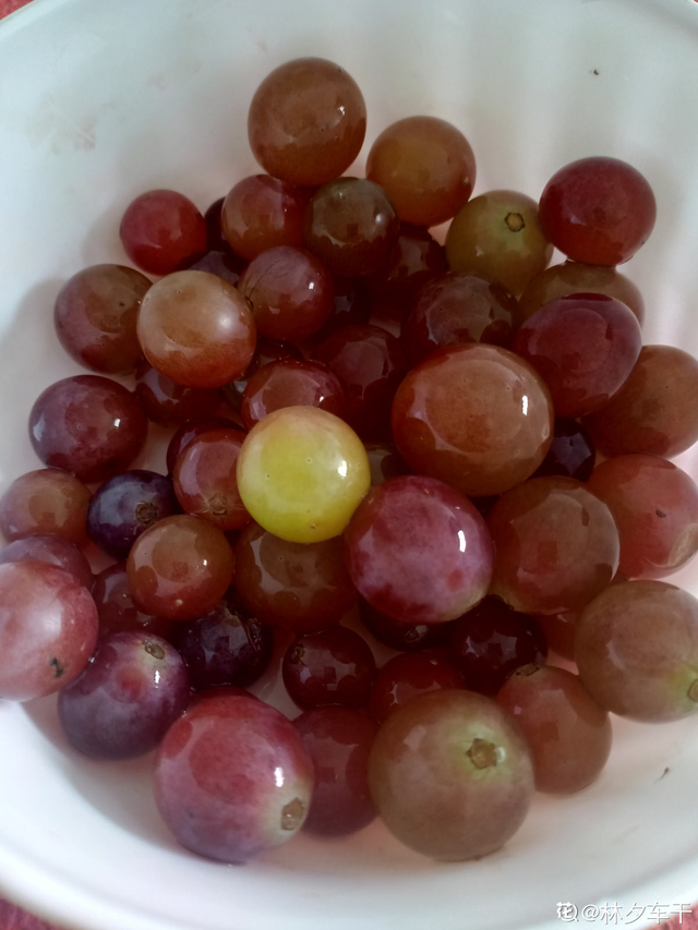 水果种类，水果种类释迦果（秋天吃正是好时候）