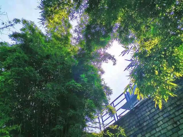 成都东软信息技术学院,成都东软学院是一本还是二本(这里是成都东软学院) 成都东软信息技术学院,成都东软学院是一本还是二本(这里是成都东软学院)