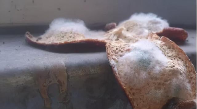 陈皮什么样的好，新会老陈皮是不是颜色越黑越好（新会陈皮收藏者如何选择陈皮）