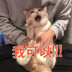 生图是什么意思（朱一龙迪丽热巴杨超越）