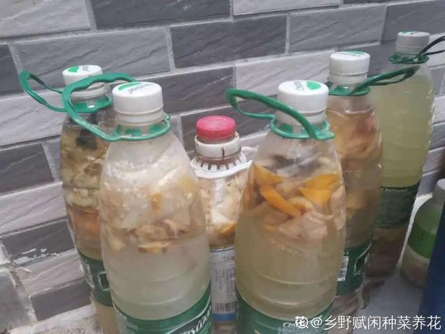如何自制氮肥，自制氮肥怎么做（氮磷钾肥别买了）