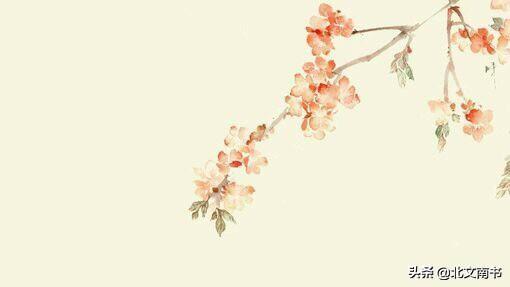 古代小说人名，古代小说人名生成器（那些唯美动人的角色名字）